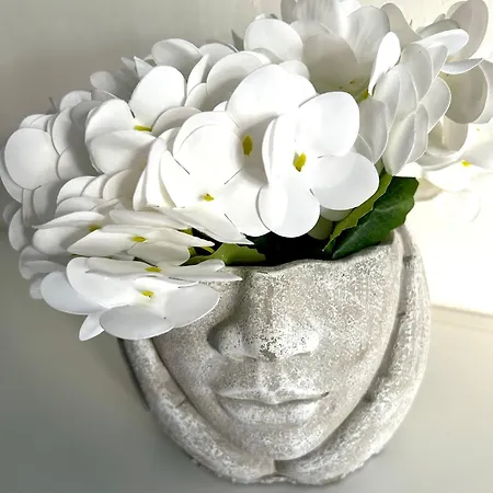 Il Glicine Due Cossani