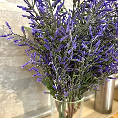 Il Glicine * Due Cossani