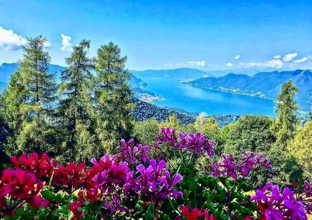 Apartment Il Glicine Due Cossani